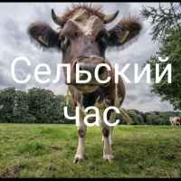 selskij chas 67e3b7a024a7b
