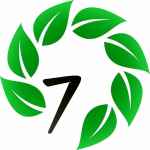 seven wonders 67de87febfe18