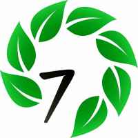 seven wonders 67de87febfe18