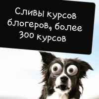 slivy kursov blogerov f09f988d 67e12aea10ba5