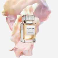smelling sessions 67e00bc9ebc0a