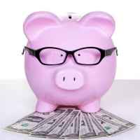 svinkiny finansy 67de529295ad1