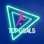 topgoals futbol goly 67dea0c476e8b