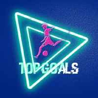 topgoals futbol goly 67dea0c476e8b