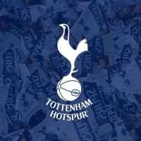 tottenham hotspur fc tottenhem 67de98260c7ac