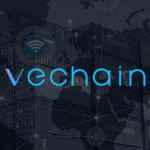 vechain russkoyazychnoe komyuniti 67e3ddbc7bd15