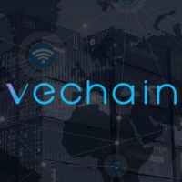 vechain russkoyazychnoe komyuniti 67e3ddbc7bd15