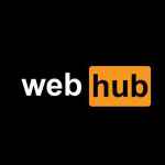 webhub vse dlya vebmastera 67dee86ece668