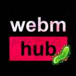 webmhub 67e158452169d