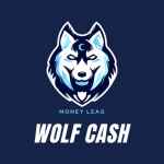 wolfcash 67e3a78466356