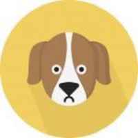 worldwide puppies buy sale f09f90b6f09f90a9f09f9095 67e131c5afebe
