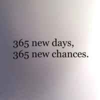 365 new days 67fb88e8cb336.jpeg