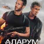 Аларум СМОТРЕТЬ 2025 67f7aa9812580.jpeg