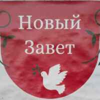 «Альберт Общается С БОГОМ» 67f564990ee70.jpeg