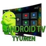 AndroidTvTyumen 67f7a28cc9399.jpeg