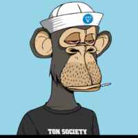 APE by Ton 67f8f75fd2989.jpeg