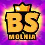 BRAWL MOLNIA⚡️ 67f83c635ff42.jpeg