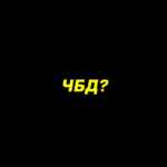 ЧТО БЫЛО ДАЛЬШЕ? 67f79a7fdd78d.jpeg
