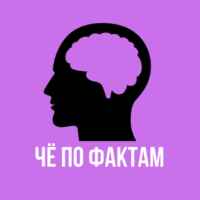 ЧЁ по ФАКТАМ 67fa4b92344b5.jpeg