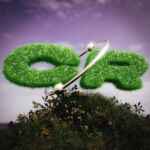 Creative Resource / GFX / 3D 67f8c460116a5.jpeg