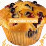 cupcake news 67fb6ea593768.jpeg