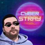 CyberStray 67f84452d3305.jpeg