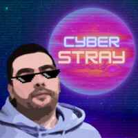 CyberStray 67f84452d3305.jpeg