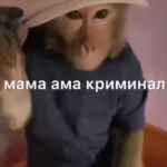 Dark Яшка 67f8222be0a2f.jpeg