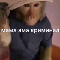 Dark Яшка 67f8222be0a2f.jpeg