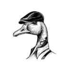 Деловые Финансы | DUCK 67f5899feb0e4.jpeg