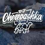 dj cherepashka 67f8bba135492.jpeg