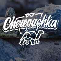 dj cherepashka 67f8bba135492.jpeg