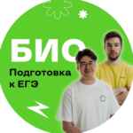 EGE hub | Биология | ЕГЭ 2025 67fa58ad546b4.jpeg