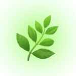 🌿Канал про здоровье 67f8df2f5a6f5.jpeg
