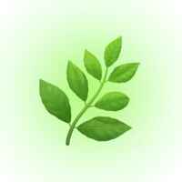 🌿Канал про здоровье 67f8df2f5a6f5.jpeg