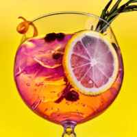 🍹Gin&TONic 🔥 Real time xRocket cheques 💵 67f8ec58def71.jpeg