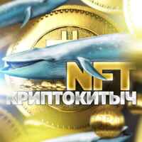🐋 NFT КриптоКитыч 67f90ed208378.jpeg