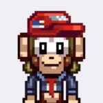 🐵 MonkeyTON 67f8f575b53c9.jpeg