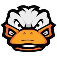 📲 APK Duck 67f77f548b96b.jpeg