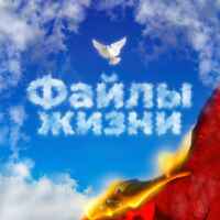 файлы жизни 67f5648905d55.jpeg