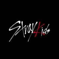 Галерея stray kids 67f8409498c0c.jpeg