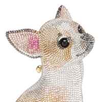 Golden Chihuahua 67f8d2aa85415.jpeg