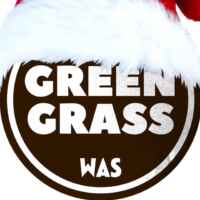 GreenGrass 67f79f594e218.jpeg