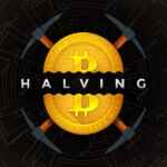 Halving 67f906639977f.jpeg