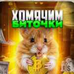 Хомячим Биточки 67f9021fe8614.jpeg