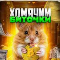 Хомячим Биточки 67f9021fe8614.jpeg