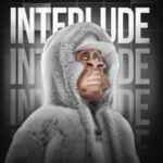 INTERLUDE 67f8ea8c527c1.jpeg