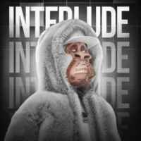 INTERLUDE 67f8ea8c527c1.jpeg