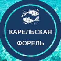 karelskaya forel 67f9543567d11.jpeg