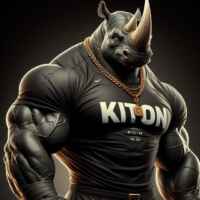 KITON 67f8efefd035e.jpeg